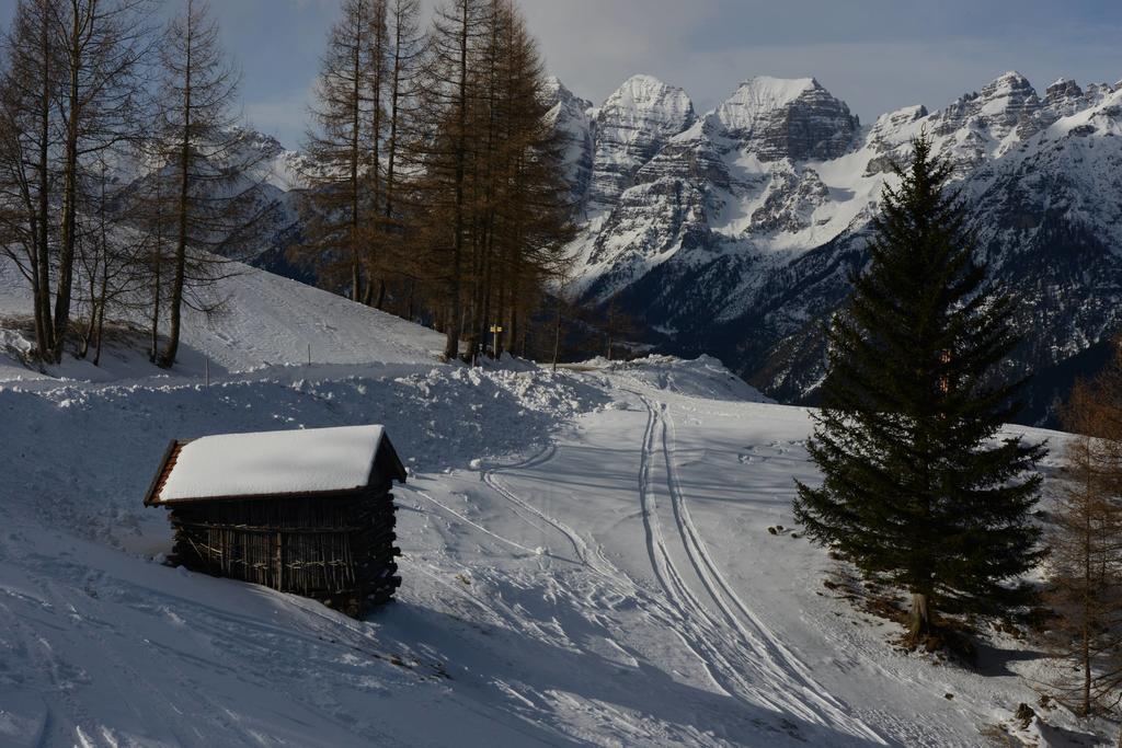 Haus Elisabeth Bed and Breakfast Neustift im Stubaital Εξωτερικό φωτογραφία