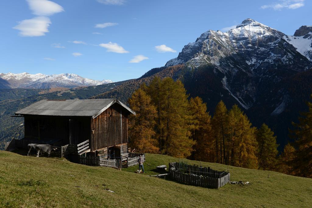 Haus Elisabeth Bed and Breakfast Neustift im Stubaital Εξωτερικό φωτογραφία